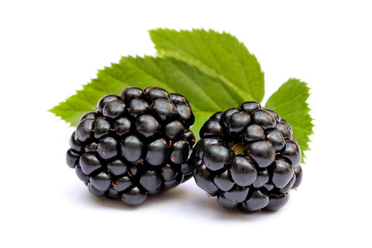 Two blackberries close up