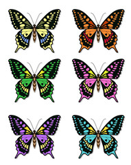 Fototapeta na wymiar Set of multicolored butterflies on a white background, a collection of butterflies. Vector illustration