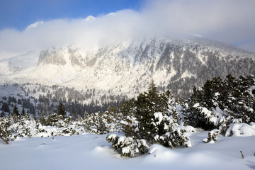 Fototapeta na wymiar Winter landscape in Tatra Mountains