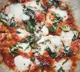 Margherita Pizza