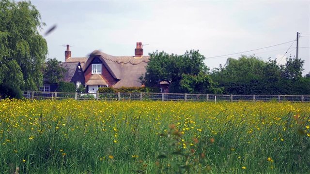 Traditional English thatched cottage rural scene