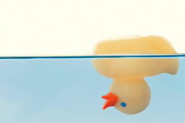 Rubber Duck - Nonswimmer