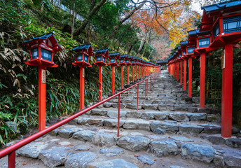 貴船神社の階段
Kibune shrine in autumn