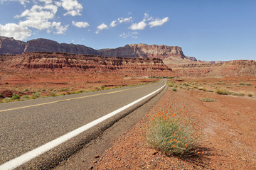 Fototapeta na wymiar Road in the desert of Arizona