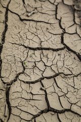 Dry brown earth close-up
