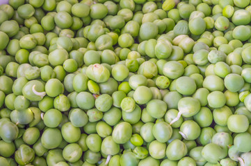 Green Peas Close up