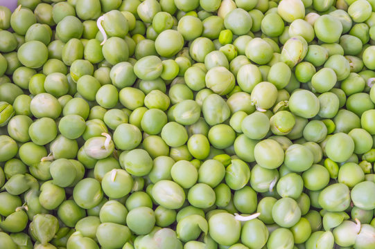 Green Peas Close up