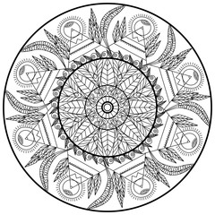 transparent contour floral ornament circle mandala sacred geometric print pattern vector illustration for adult coloring pages or coloring books