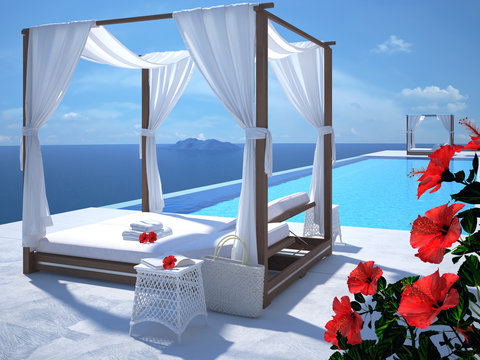 luxury swimming pool with hibiscus flower. 3d rendering