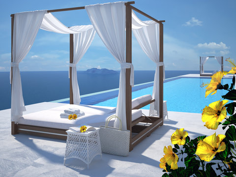 luxury swimming pool with hibiscus flower. 3d rendering