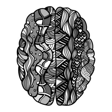 Sketchy Human Brain