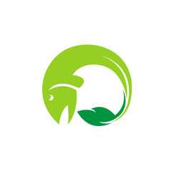 Fish Logo Design Vector