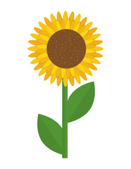 Flower icon. Garden design. Vector graphic 