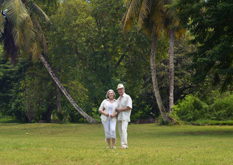 Fototapeta premium Happy Mature couple on vacation
