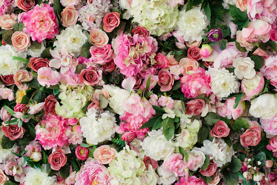 Closeup image of beautiful flowers background with  pink and white flowers, top view