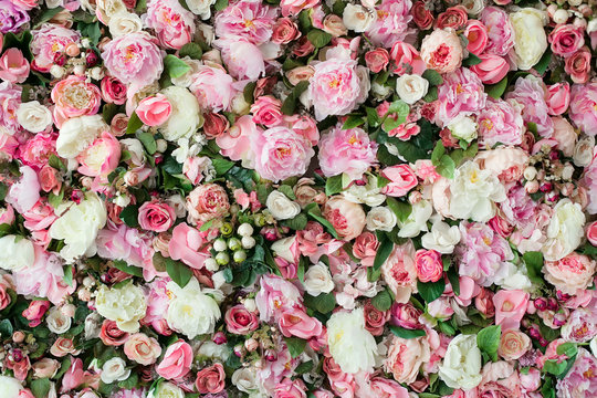 Closeup image of beautiful flowers background with  pink and white flowers, top view
