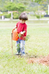 Little boy watering plants Outdoors