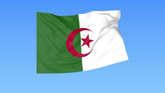 Waving flag of Algeria, seamless loop. Exact size, blue background. Part of all countries set. 4K ProRes with alpha.