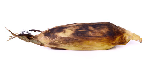 grilled corn on white background