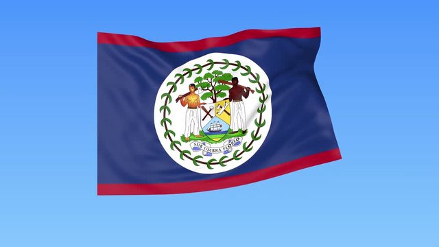 Waving flag of Belize, seamless loop. Exact size, blue background. Part of all countries set. 4K ProRes with alpha.
