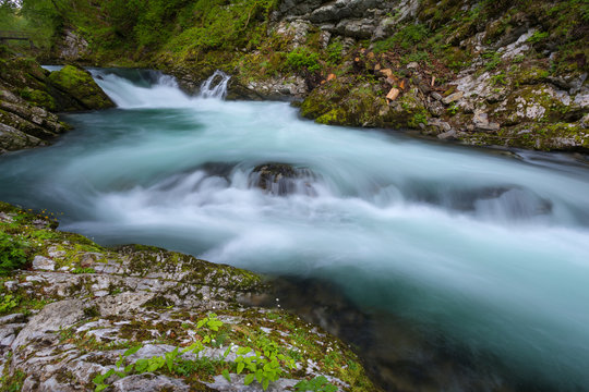soteska Vintgar in the river Radovna
