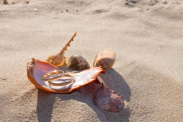 Медовый месяц/Honeymoon © solarsistem