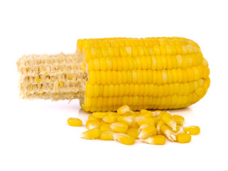 Boiled corn on white background
