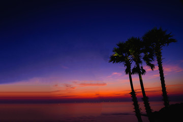 Fototapeta na wymiar Silhouette sugar palm trees on beach at twilight. Vintage tone.