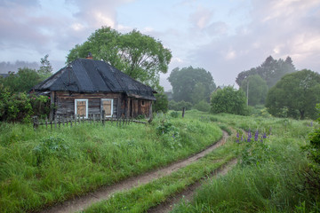 Fototapeta na wymiar Заброшенный дом в деревне