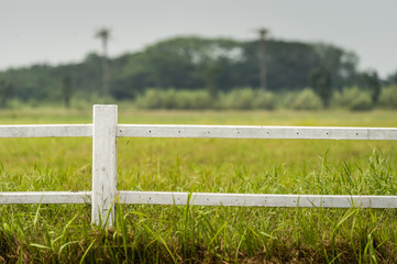 Fototapeta premium White fence of big farm