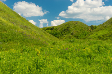 Fototapeta na wymiar June landscape with blue cloudy sky over ravine overgrown with green herbs in central Ukraine