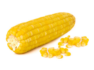 Sweet corn isolated on white background