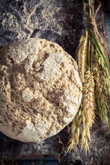 Closeup of tasty loaf of bread with several grains