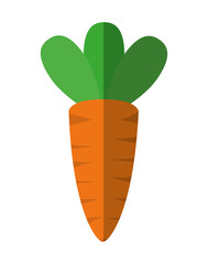 carrot icon. Organic and healthy food. vector graphic