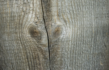 старая деревянная доска трещины. сухая деревянная доска. 