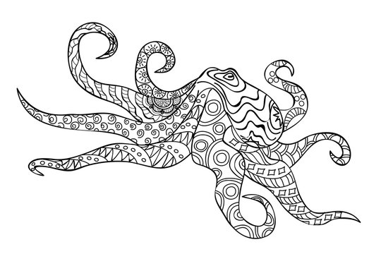 doodle octopus