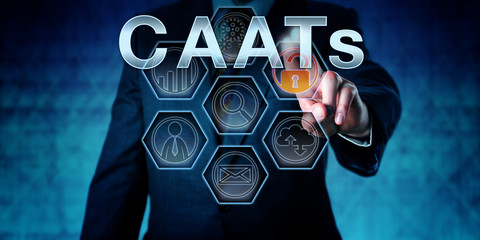Male Corporate Auditor Pressing CAATs