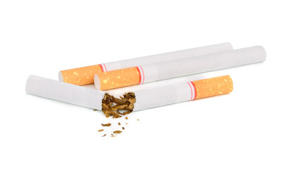 The cigarette broken half-and-half and the whole cigarette isola