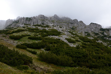 Stones and rocks on mountainside in fog