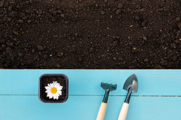 garden tools and the soil for landing of vegetables or fruit