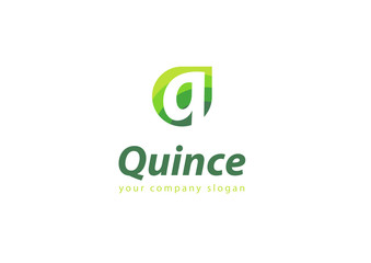 letter Q logo Template for your company