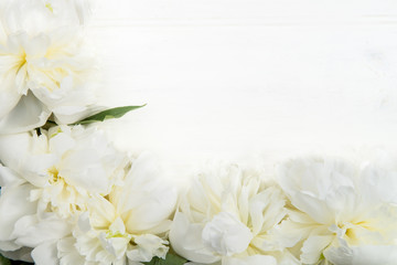 Frame from Peonies and Petals