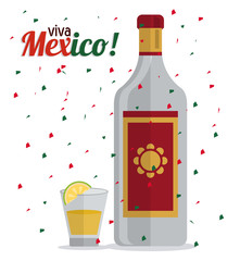 Tequila bottle and shot  icon. Mexico culture. Vector graphic