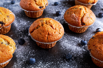Homemade Blueberry Muffins with fresh berries on wooden table. selected focus