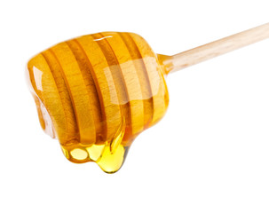 Honey dripping from a honey dipper. Isolated on white background
