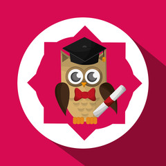 Animal design. owl icon. Isolated illustration , vector