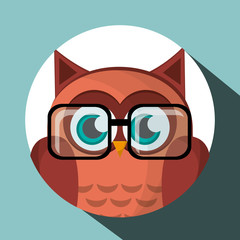 Animal design. owl icon. Isolated illustration , vector
