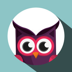 Animal design. owl icon. Isolated illustration , vector