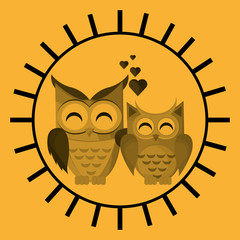 Animal design. owl icon. Isolated illustration , vector