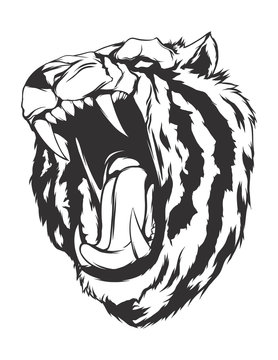 Vector illustration with tiger head